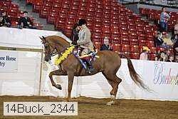 14buck_2344 proof