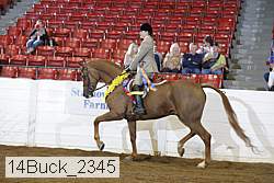 14buck_2345 proof