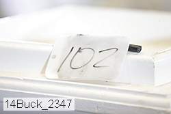 14buck_2347 proof