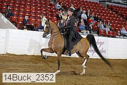 14buck_2352 proof