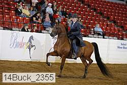 14buck_2355 proof