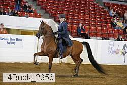 14buck_2356 proof