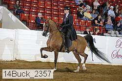 14buck_2357 proof