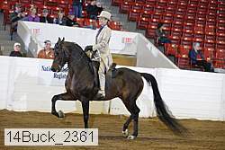 14buck_2361 proof