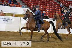 14buck_2366 proof