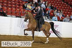 14buck_2369 proof