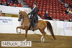 14buck_2371 proof