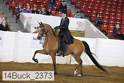 14buck_2373 proof