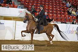 14buck_2375 proof