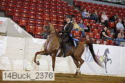 14buck_2376 proof