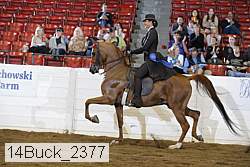 14buck_2377 proof