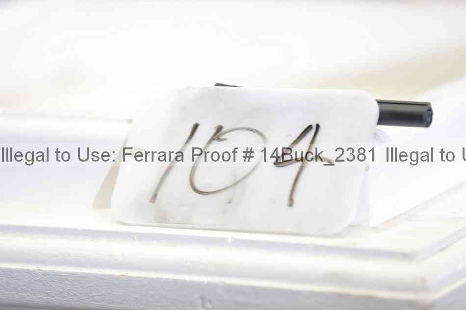 Proof 14buck_2381