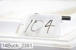 14buck_2381 proof