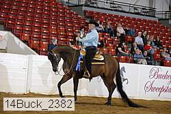 14buck_2382 proof