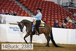 14buck_2383 proof