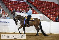 14buck_2384 proof