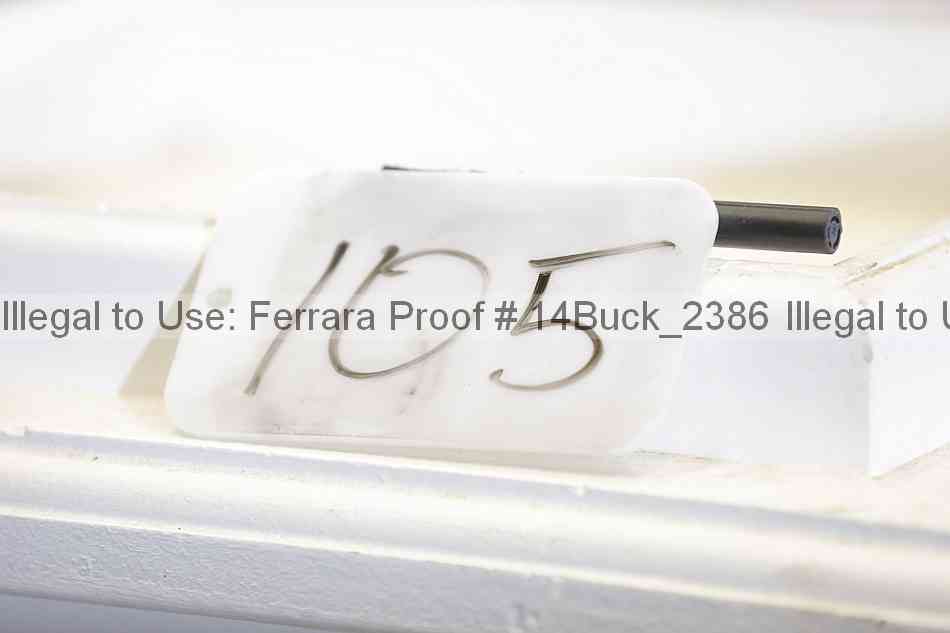 Proof 14buck_2386