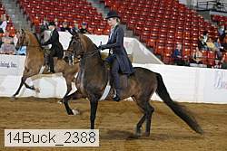 14buck_2388 proof