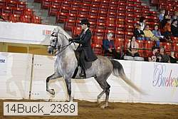 14buck_2389 proof
