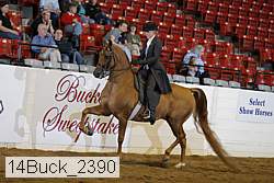 14buck_2390 proof