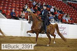 14buck_2391 proof