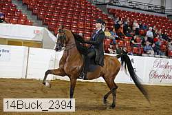 14buck_2394 proof