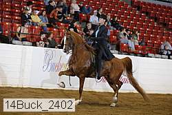 14buck_2402 proof