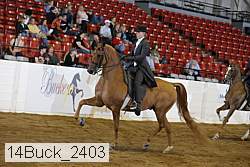 14buck_2403 proof