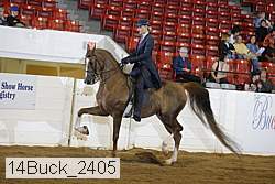 14buck_2405 proof