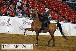 14buck_2406 proof