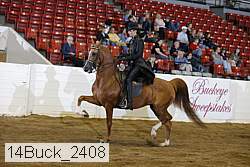 14buck_2408 proof