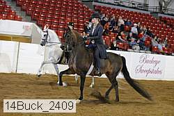 14buck_2409 proof