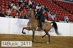 14buck_2411 proof