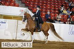 14buck_2413 proof