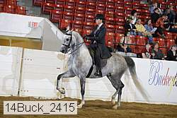 14buck_2415 proof