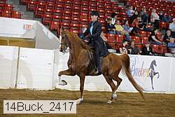 14buck_2417 proof