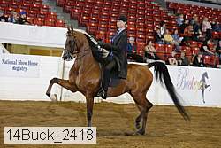 14buck_2418 proof