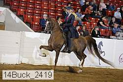 14buck_2419 proof