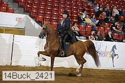 14buck_2421 proof