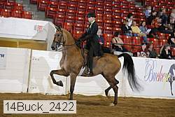 14buck_2422 proof