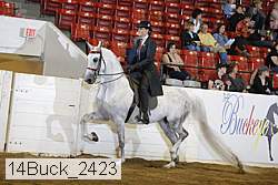 14buck_2423 proof