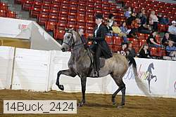 14buck_2424 proof