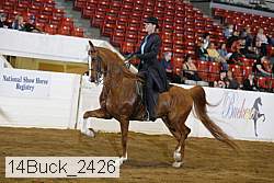 14buck_2426 proof