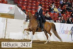 14buck_2427 proof