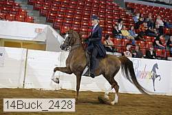 14buck_2428 proof