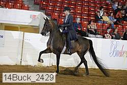 14buck_2429 proof