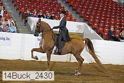 14buck_2430 proof
