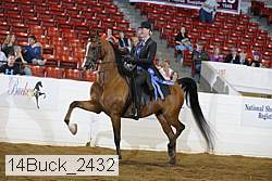14buck_2432 proof