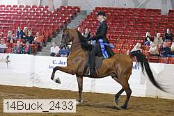 14buck_2433 proof