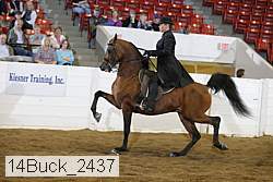 14buck_2437 proof